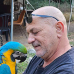 קובי אבני